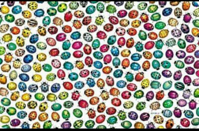 5초안에 보이는것