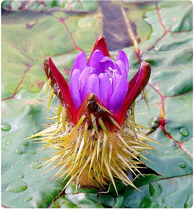 죽기전에 봐야할것640리얼