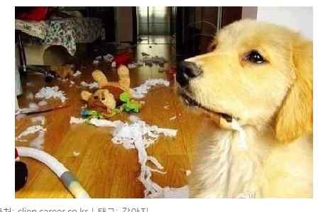 억울해 하는 눈물연기