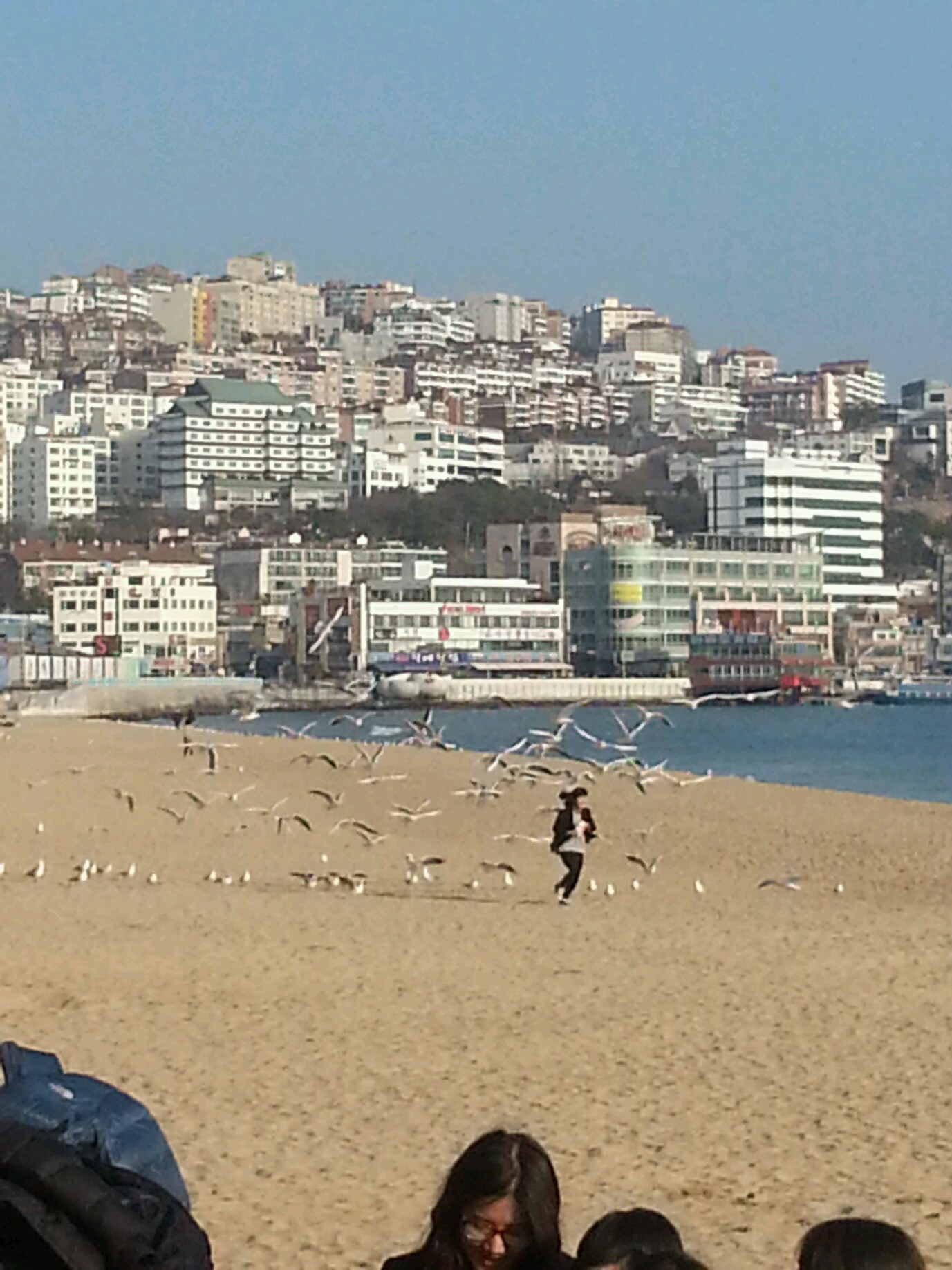 갈매기 과자주기의 최후