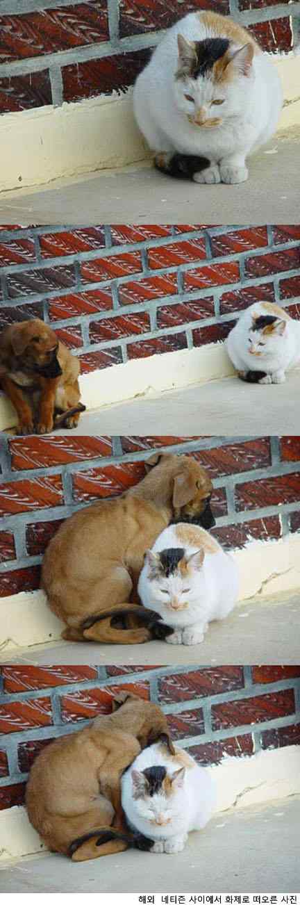 추우니까  같이  잇자