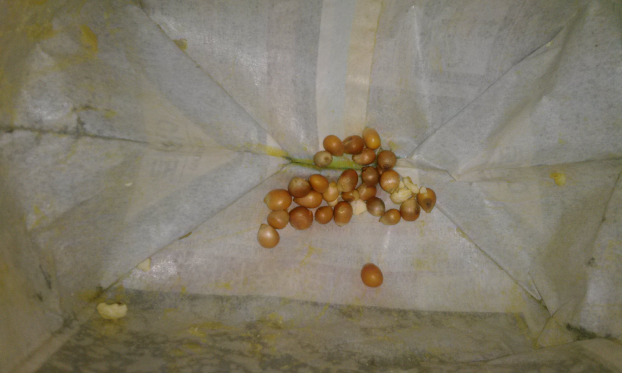 팝콘 다먹고 공감