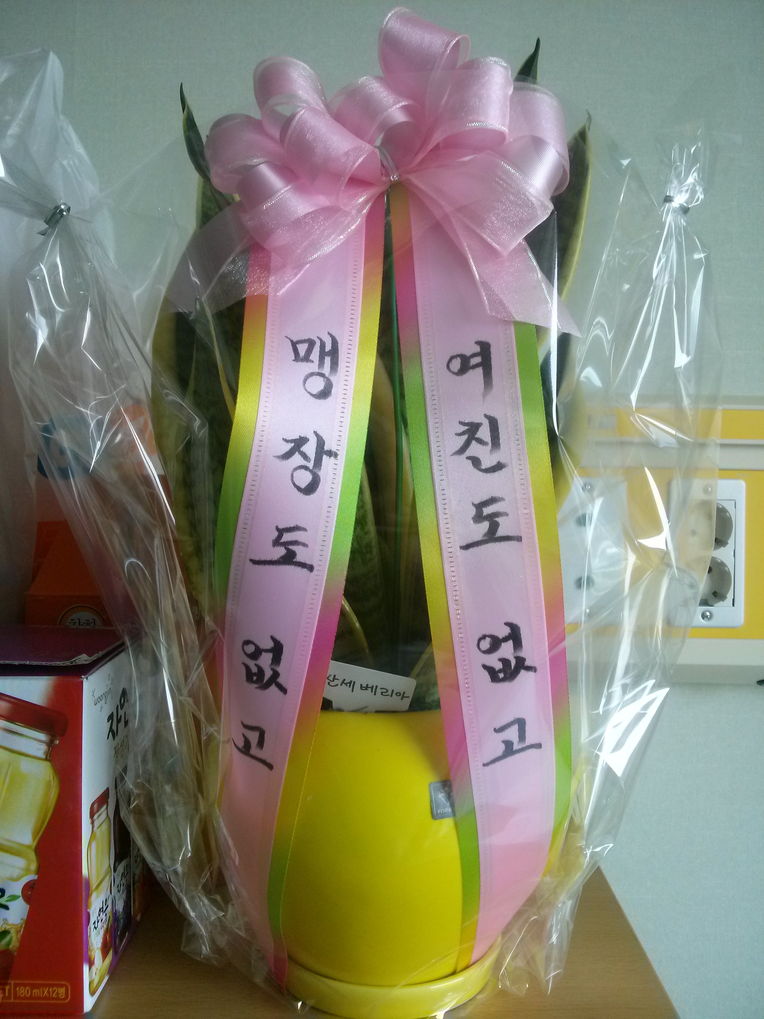 맹장수술후 병문안 온 친한동생이 화분사다줌