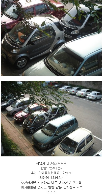 귀여운 주차