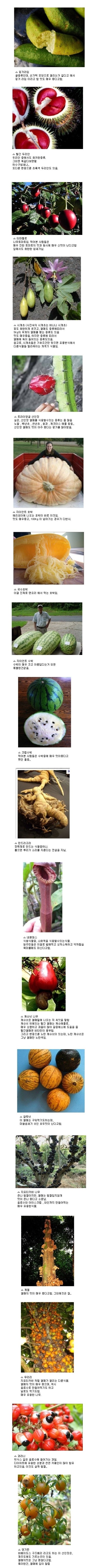 포스트의 이미지