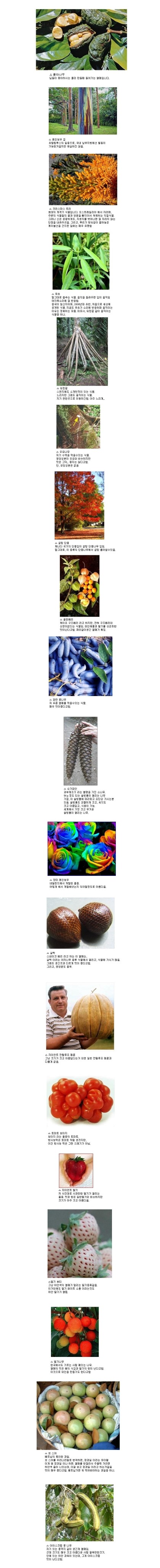 포스트의 이미지