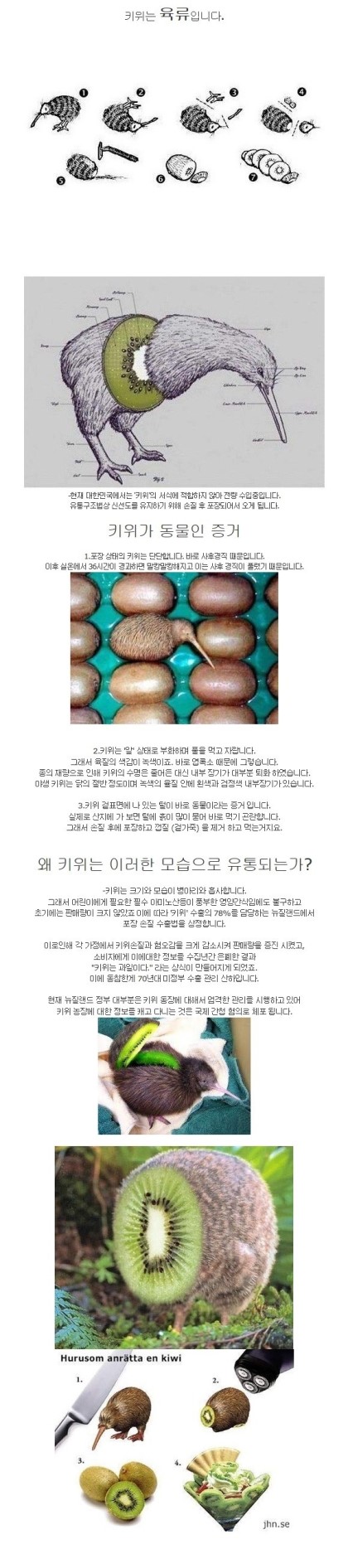 포스트의 이미지