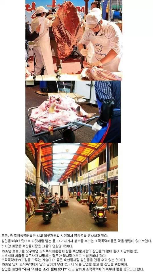 포스트의 이미지