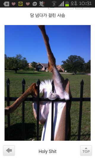 포스트의 이미지