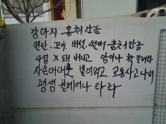 포스트의 이미지