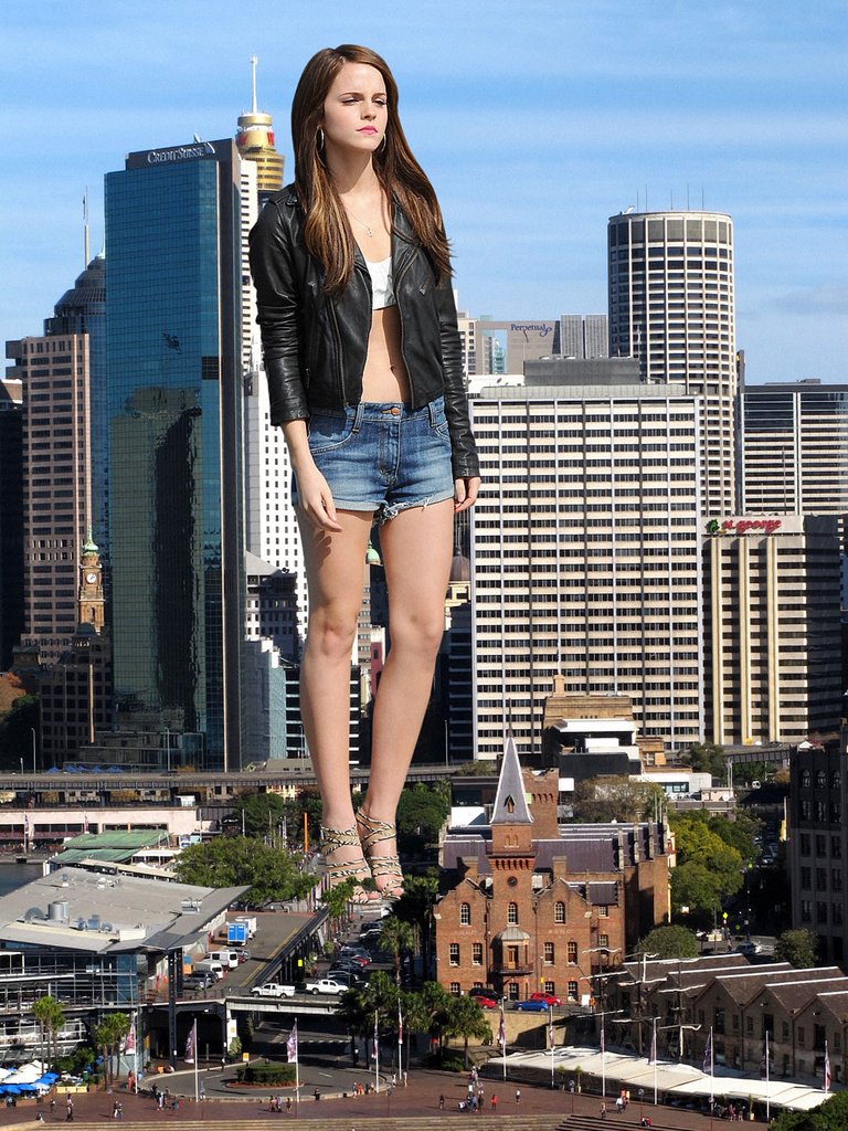 포스트의 이미지