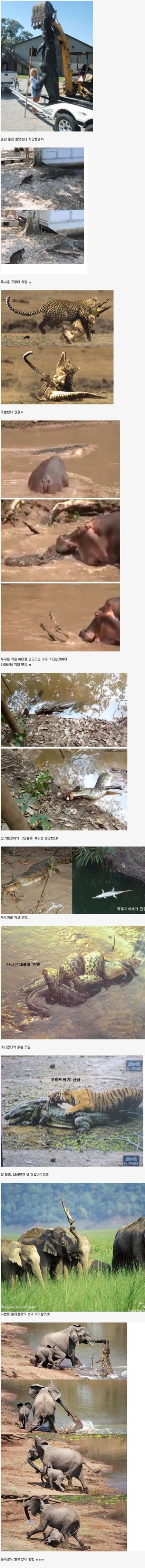 포스트의 이미지