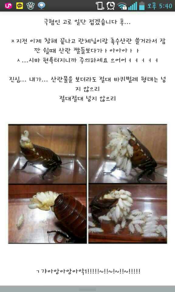 포스트의 이미지