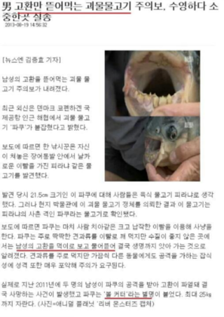 포스트의 이미지