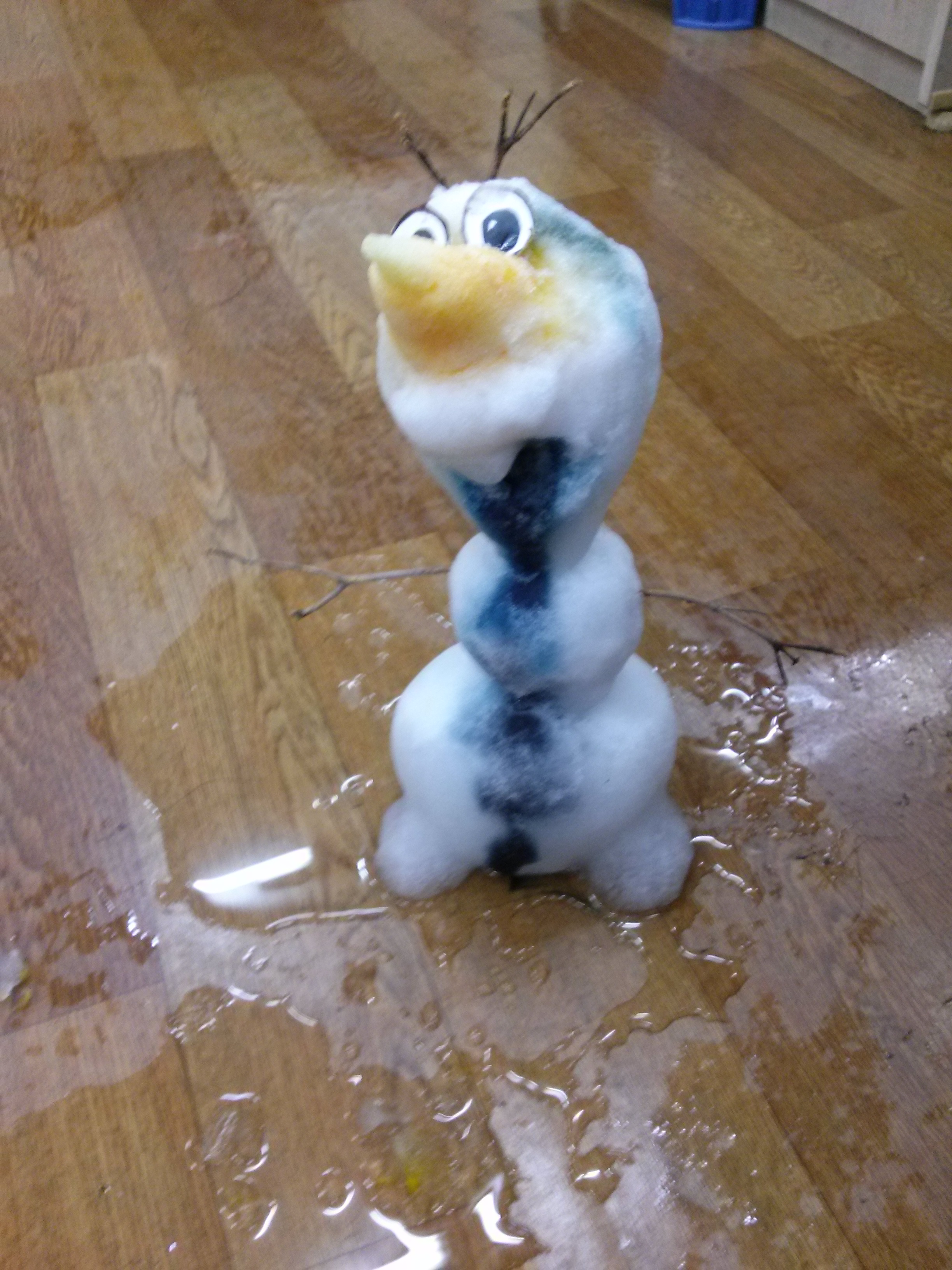 포스트의 이미지