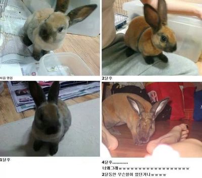 포스트의 이미지