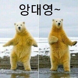 포스트의 이미지