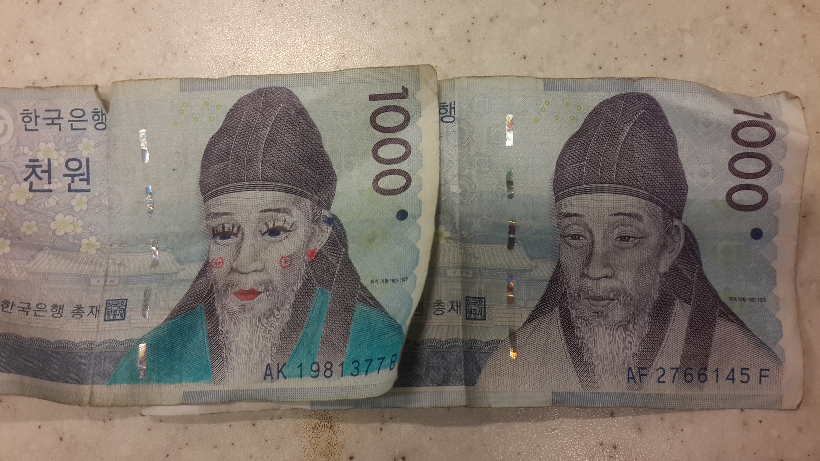 포스트의 이미지