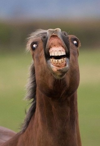 포스트의 이미지