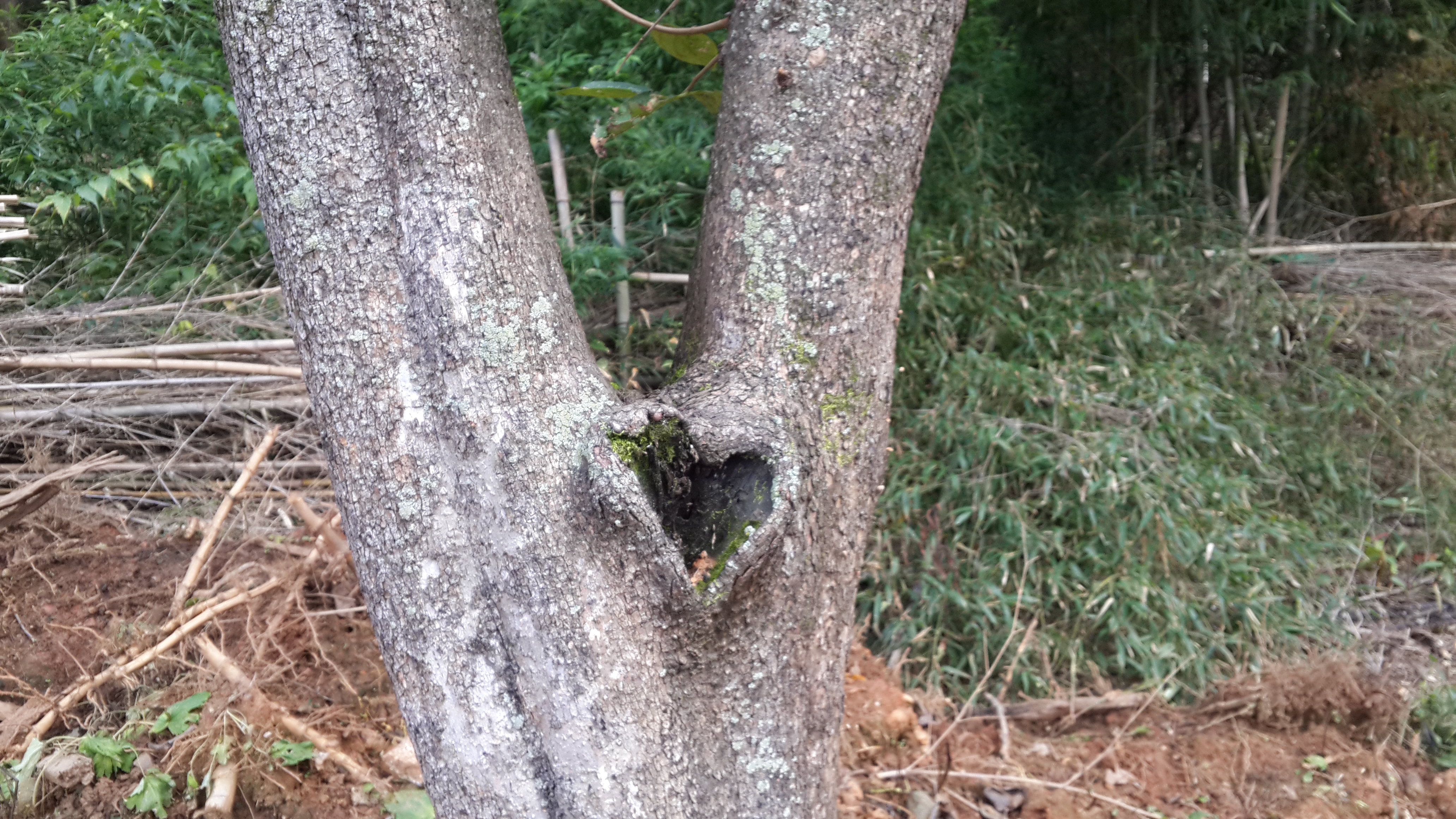 포스트의 이미지