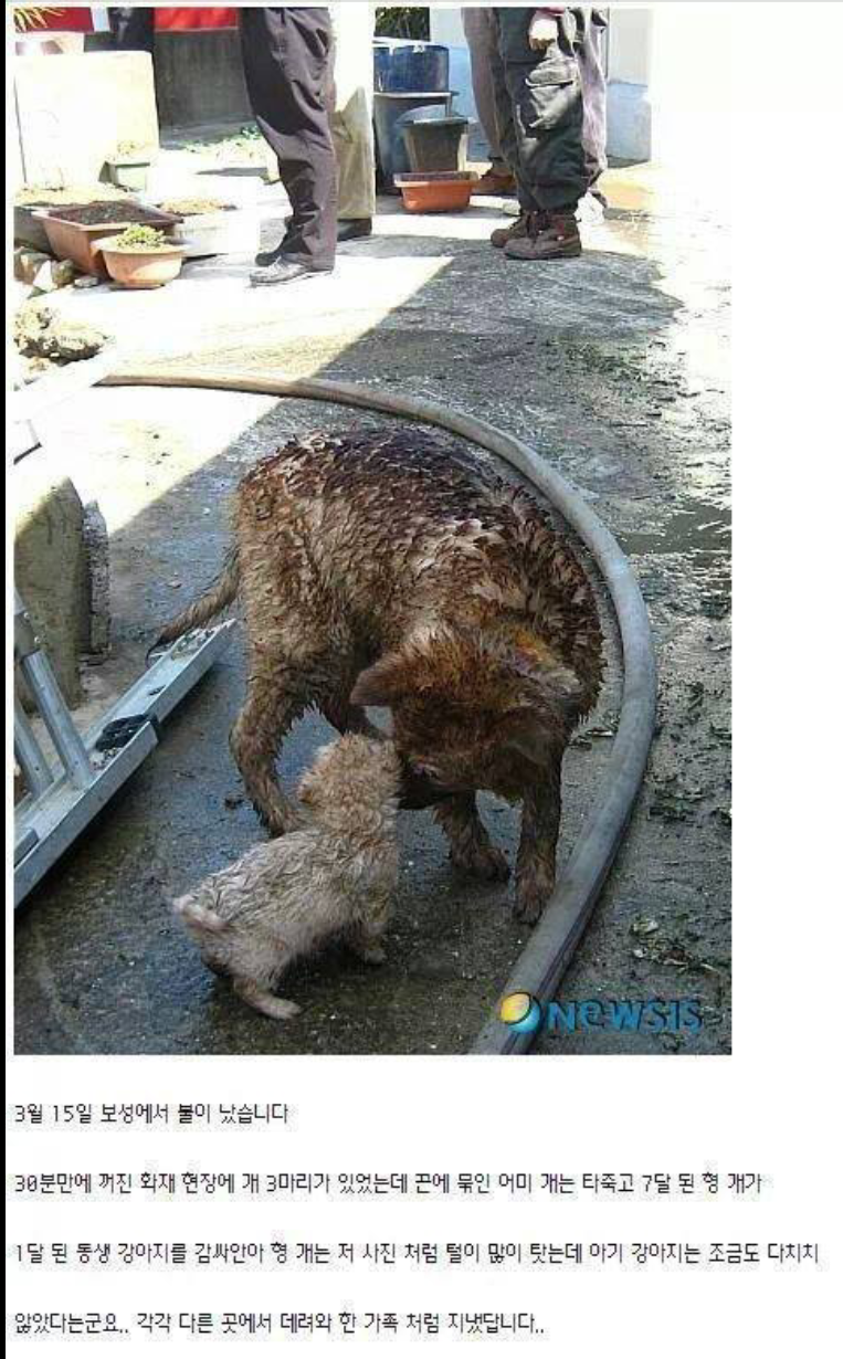 포스트의 이미지