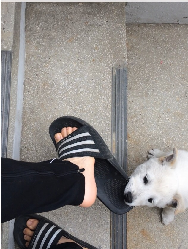 포스트의 이미지