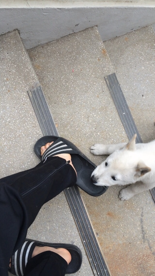 포스트의 이미지