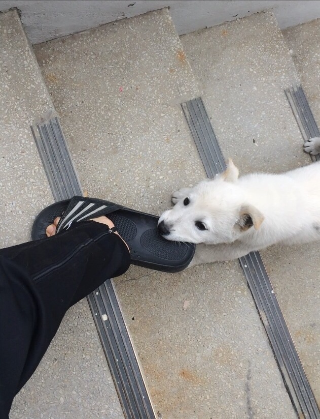 포스트의 이미지