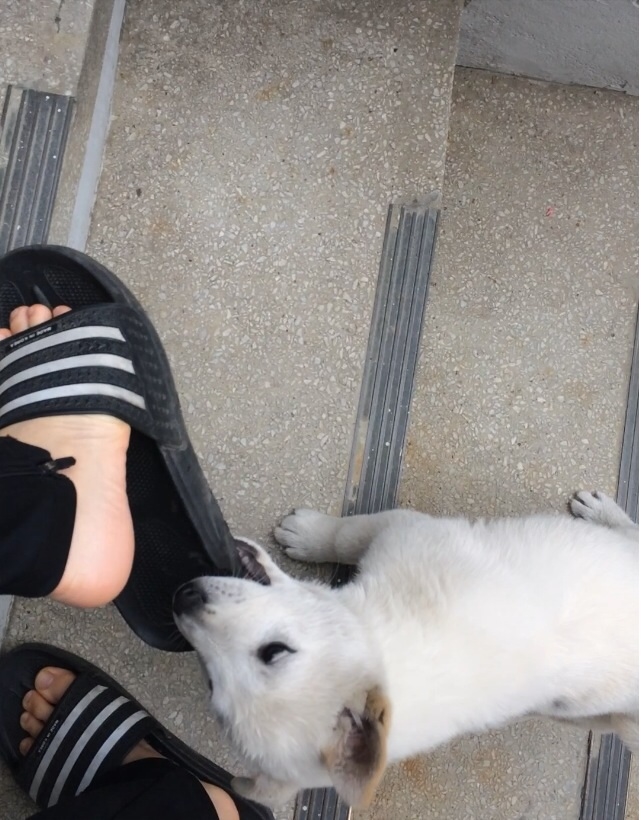 포스트의 이미지