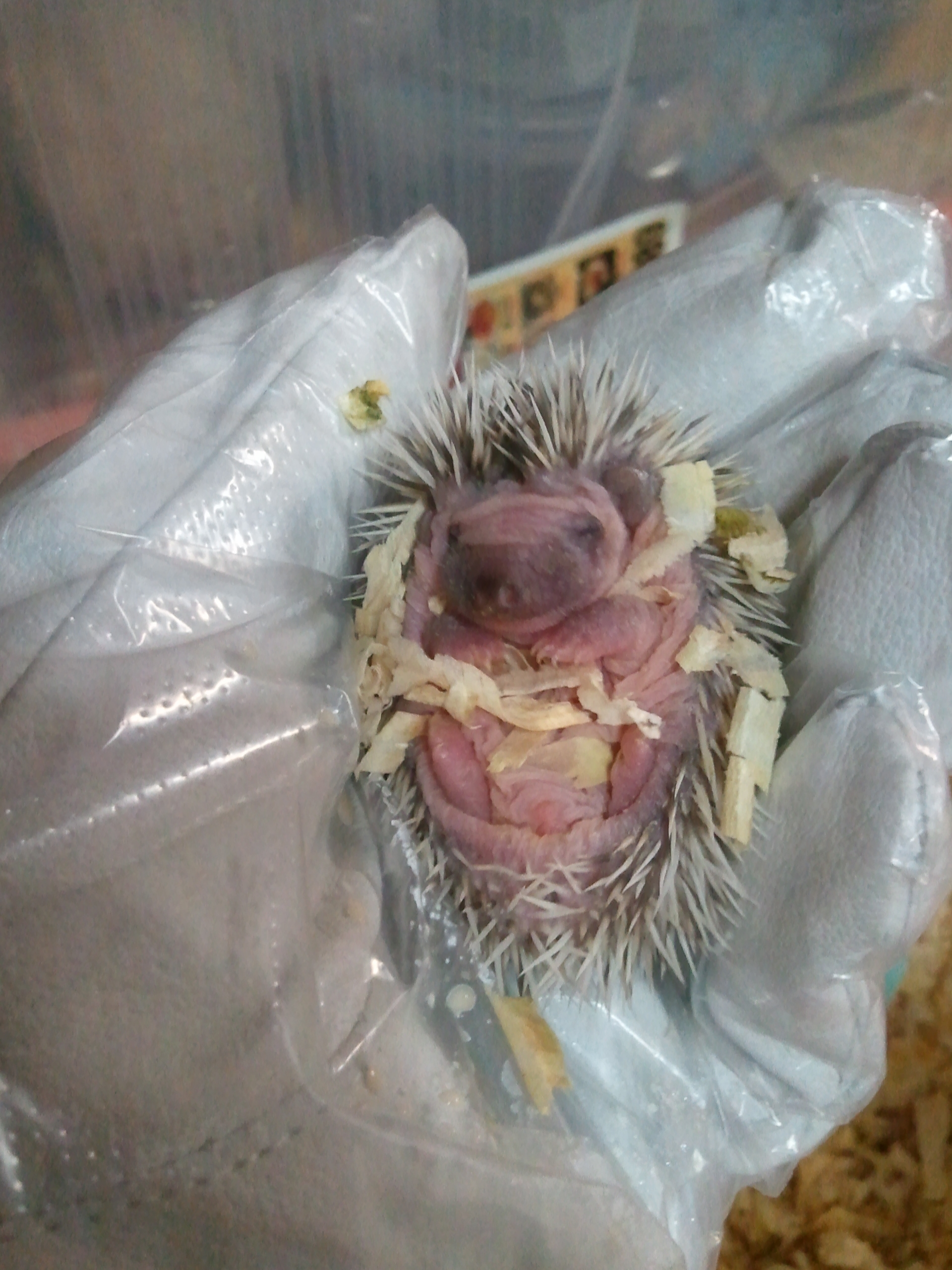 포스트의 이미지