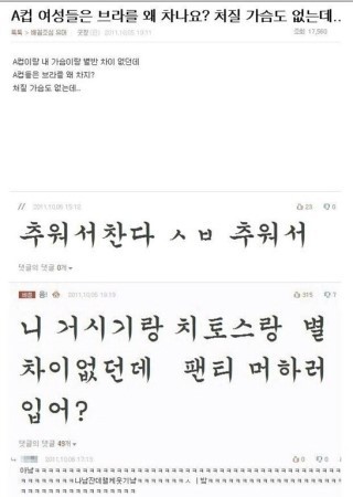 A컵 여성들의 브라 착용 이유는?