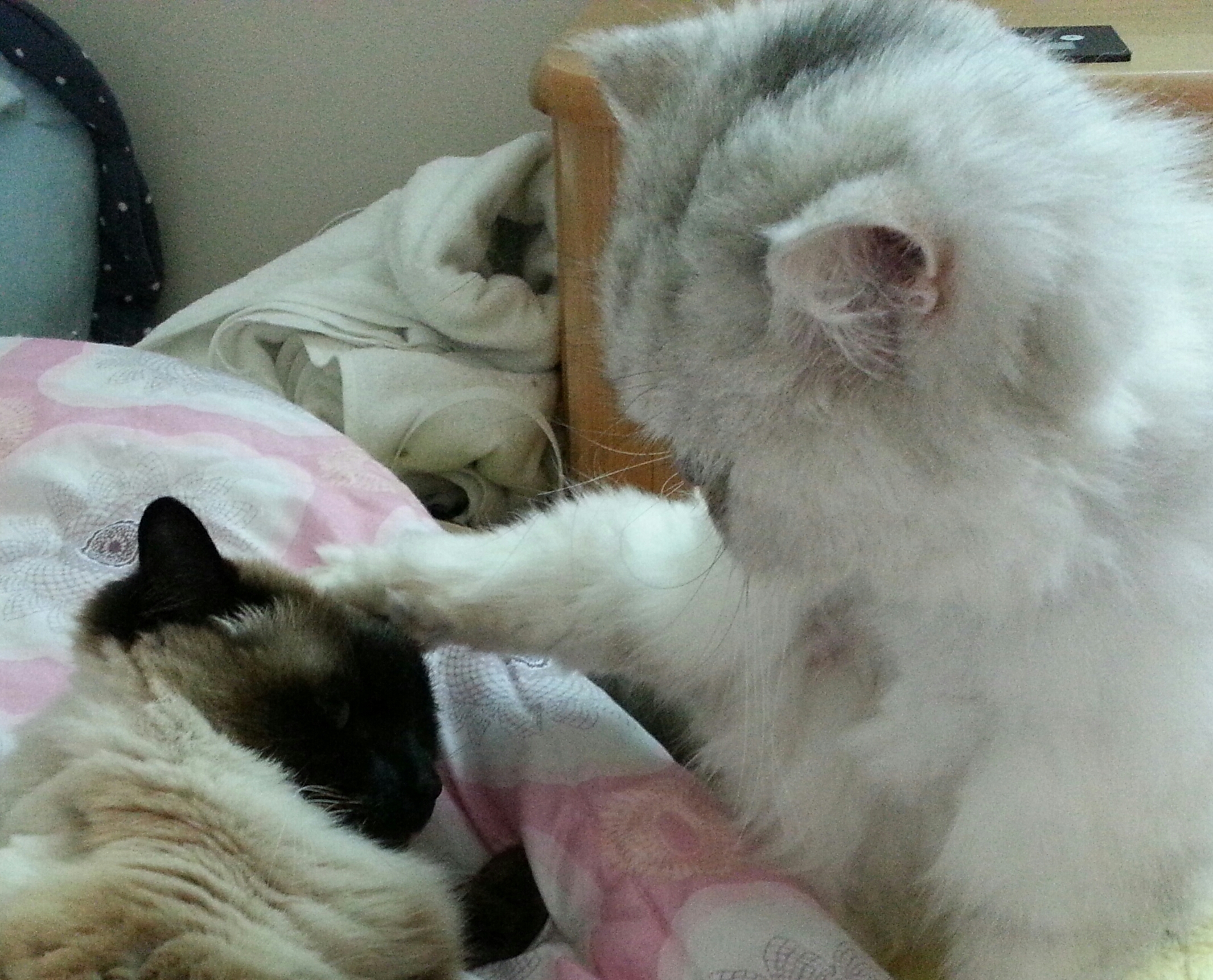 포스트의 이미지