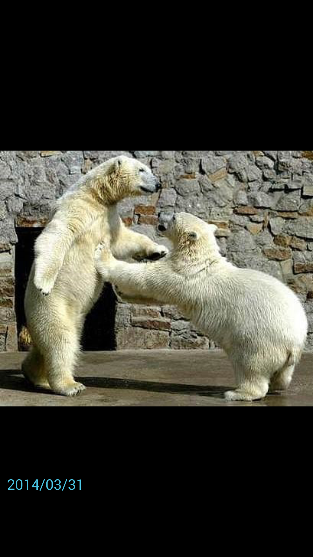 포스트의 이미지