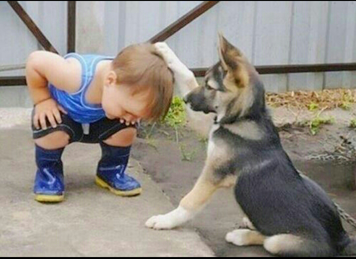 포스트의 이미지