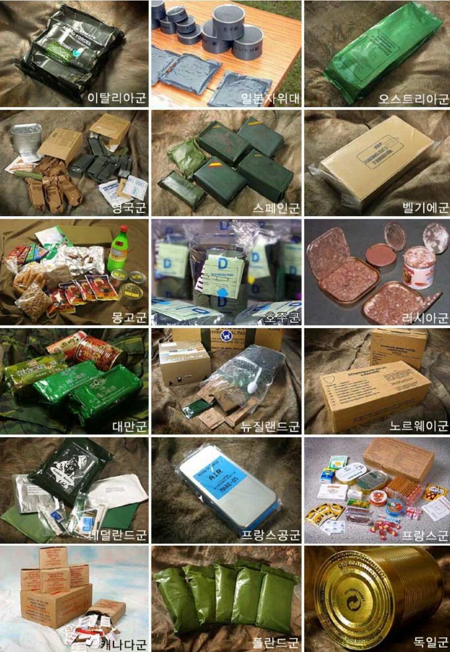 포스트의 이미지