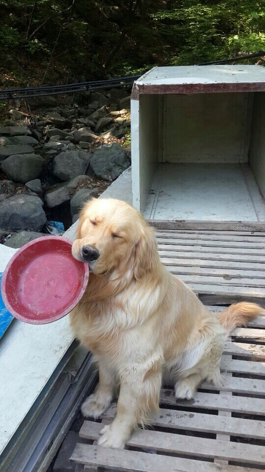 포스트의 이미지