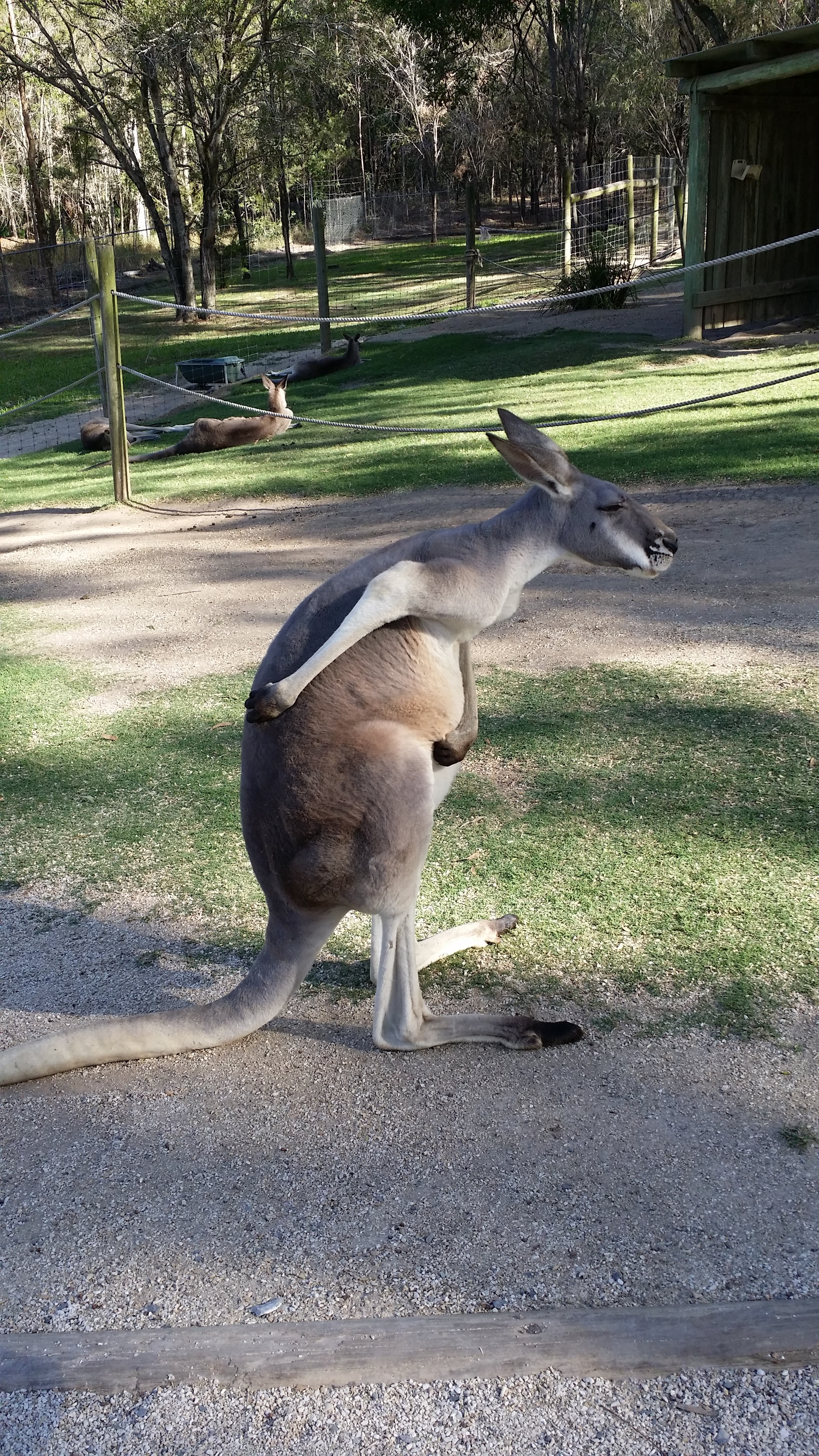 나 잠시 화장실 좀...
