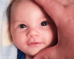 포스트의 이미지