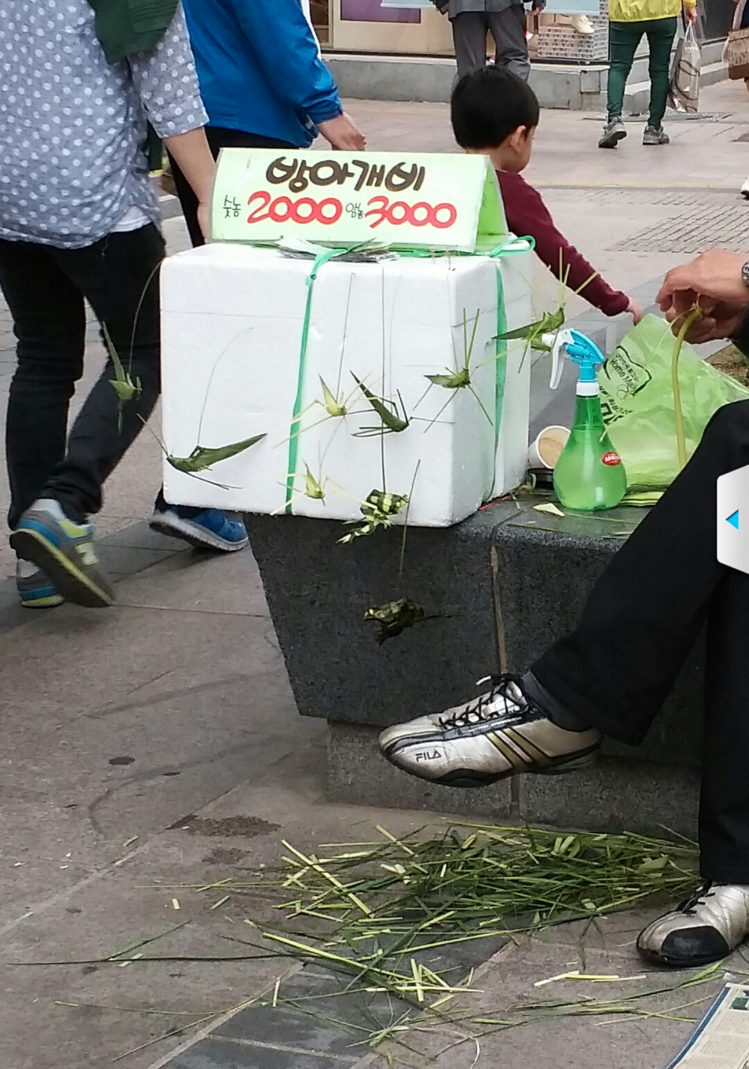 방아깨비팔아요~