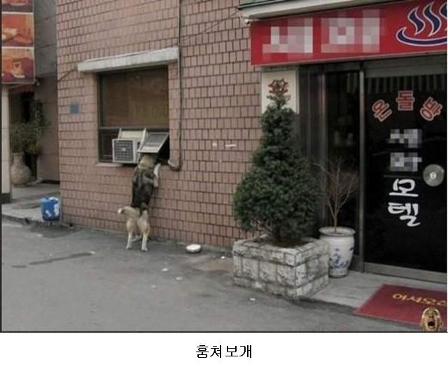 포스트의 이미지