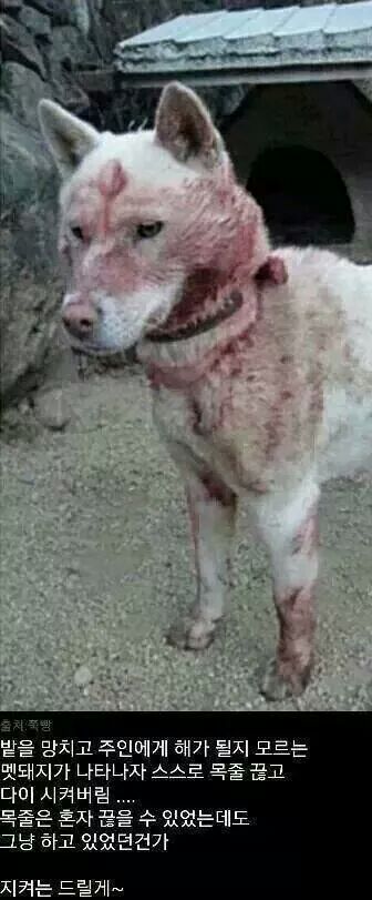 포스트의 이미지