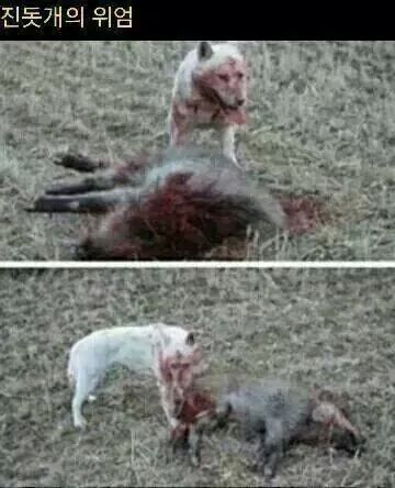 포스트의 이미지