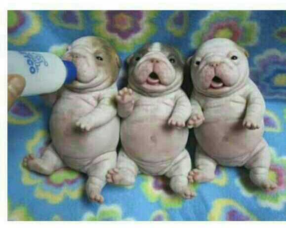 포스트의 이미지