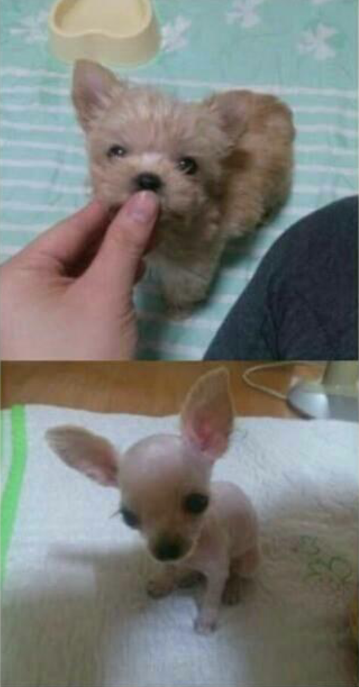 포스트의 이미지