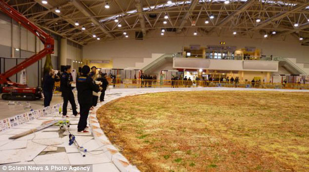 포스트의 이미지