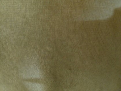 포스트의 이미지