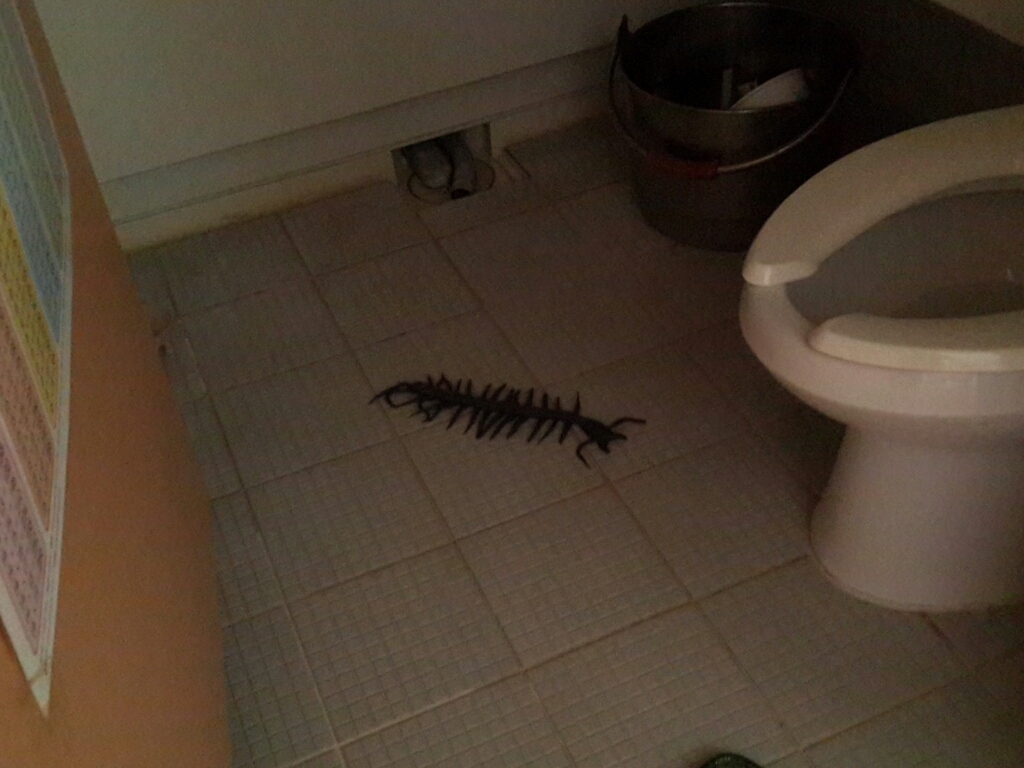 화장실가다가..