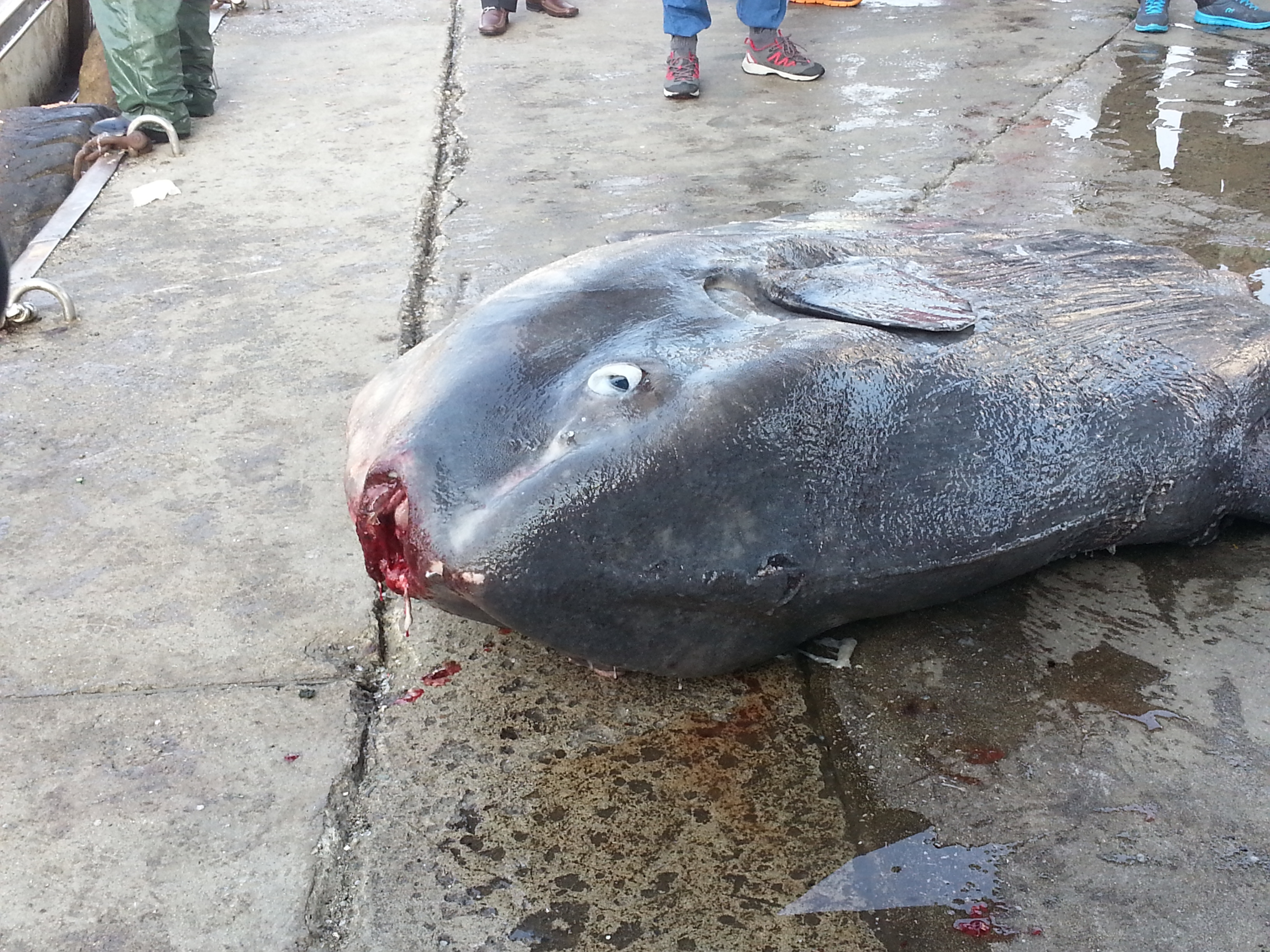 포스트의 이미지