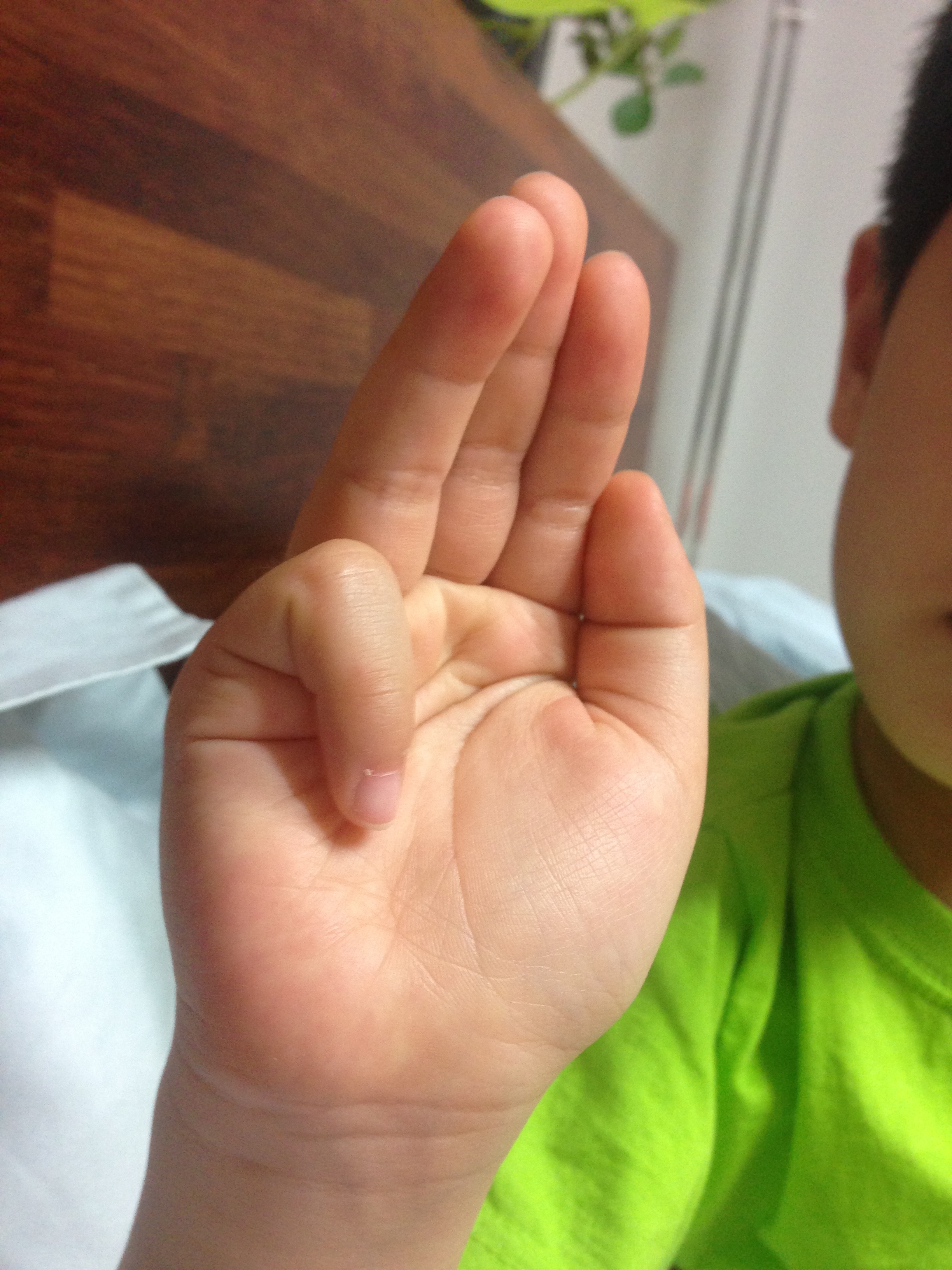 포스트의 이미지