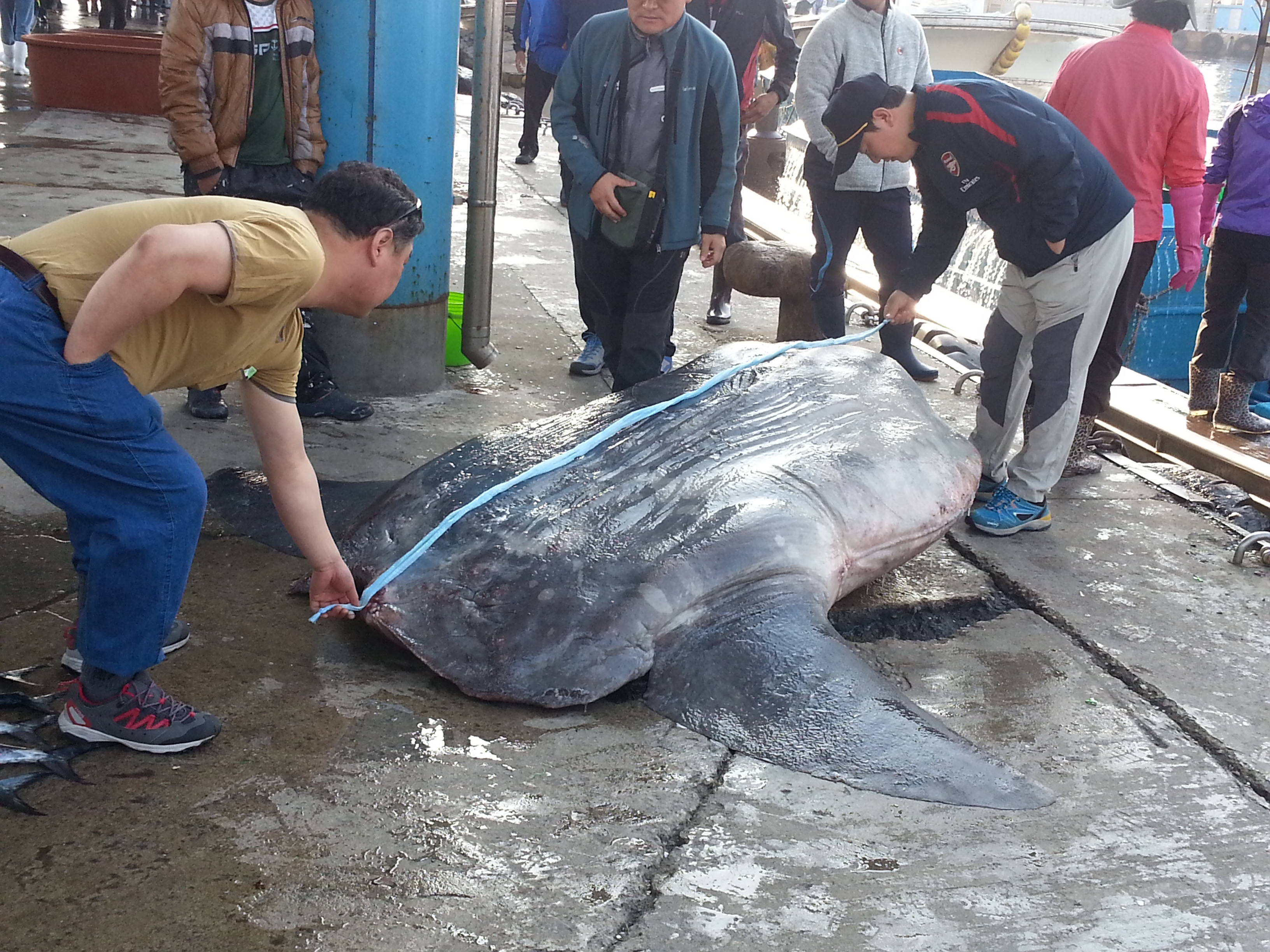 포스트의 이미지